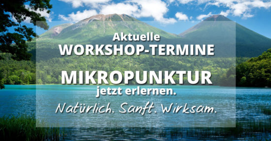 Workshopinfo Mikropunktur und Biokybernetik
